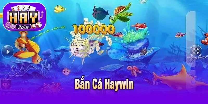 Bắn Cá Haywin