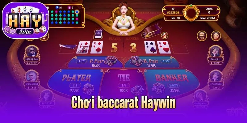 chơi baccarat Haywin