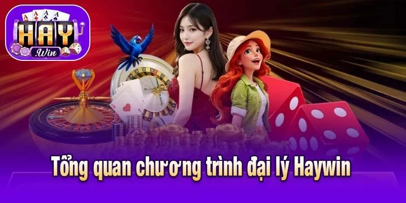 Tổng quan chương trình đại lý Haywin 