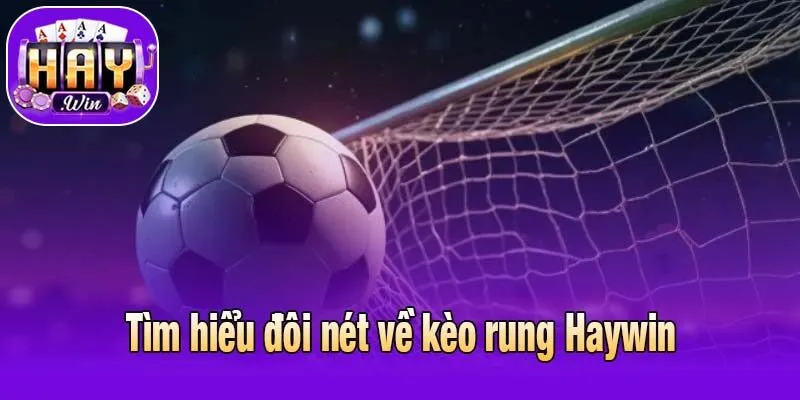 Tìm hiểu đôi nét về kèo rung Haywin