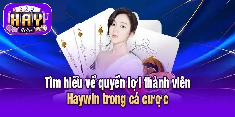 Tìm hiểu về quyền lợi thành viên Haywin trong cá cược