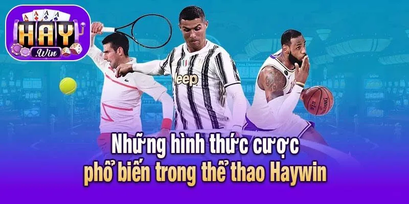Những hình thức cược phổ biến trong thể thao Haywin