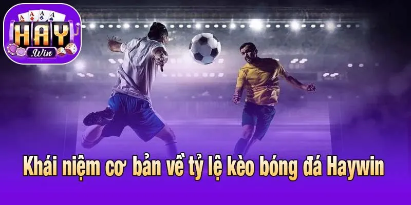 Khái niệm cơ bản về tỷ lệ kèo bóng đá Haywin 