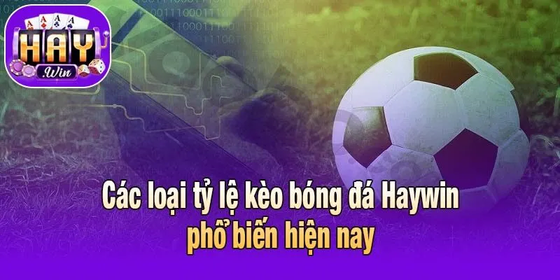 Các loại tỷ lệ kèo bóng đá Haywin phổ biến hiện nay