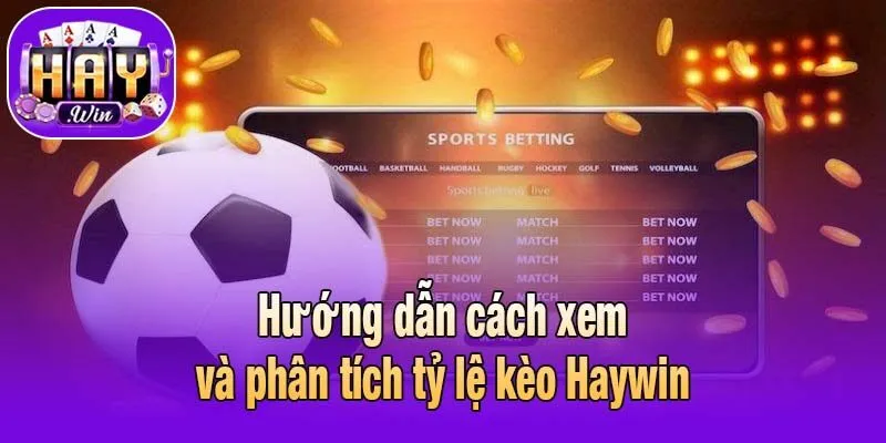 Hướng dẫn cách xem và phân tích tỷ lệ kèo Haywin